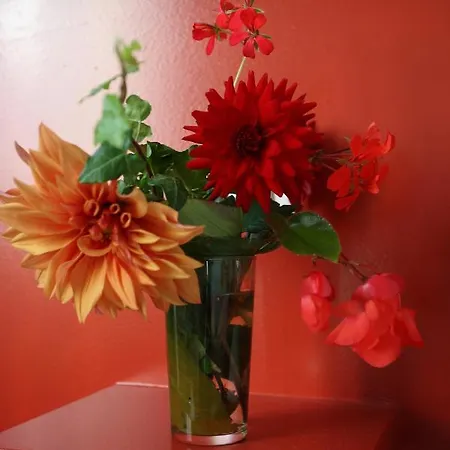 Ondoria Διαμέρισμα *